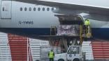 aircraft cargo hold