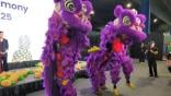 dragons